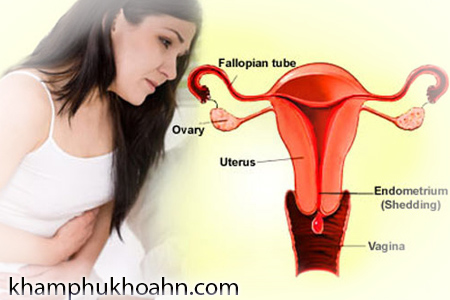 [Image: cach-dieu-tri-roi-loan-kinh-nguyet-hieu-qua.jpg]